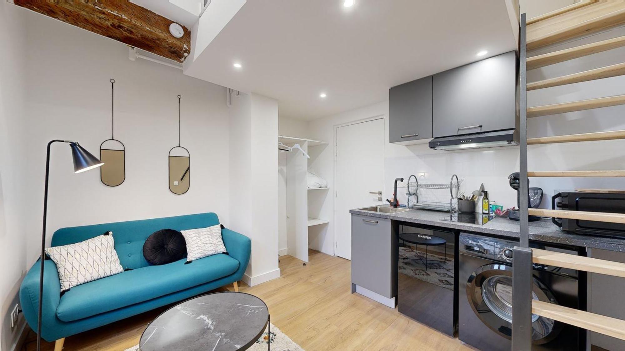 Chal5 Duplex 25m2 A 200m Du Capitole Toulouse