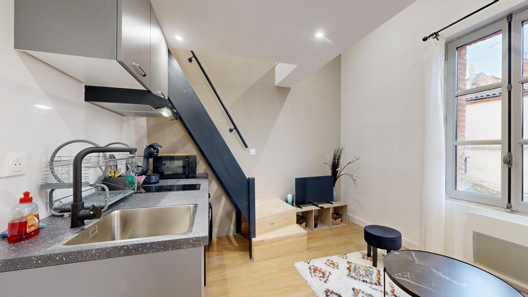 Apartment Chal5 Duplex 25m2 A 200m Du Capitole